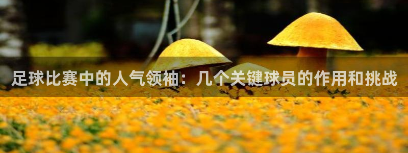  足球比赛中的人气领袖：几个关键球员的作用和挑战