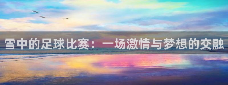 雪中的足球比赛：一场激情与梦想的交融