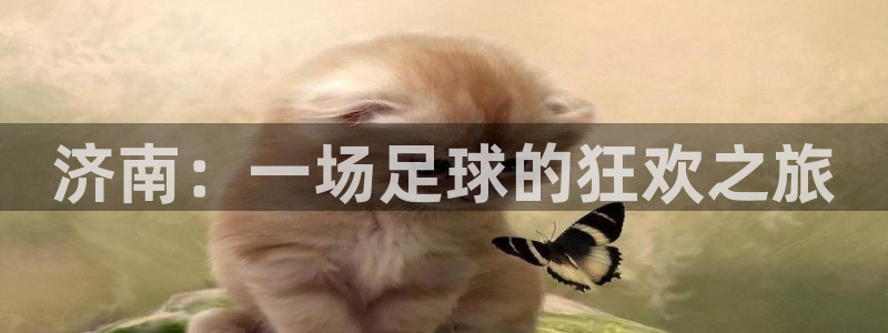  济南：一场足球的狂欢之旅