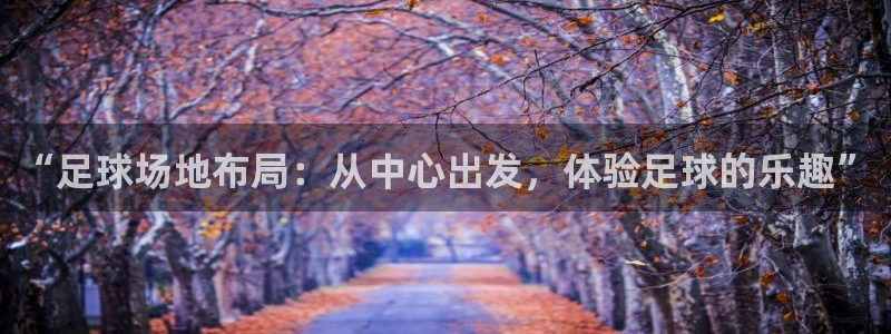  “足球场地布局：从中心出发，体验足球的乐趣”