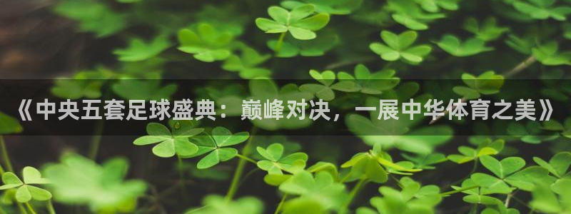 《中央五套足球盛典：巅峰对决，一展中华体育之美》