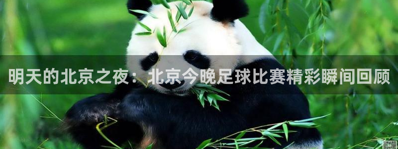 明天的北京之夜：北京今晚足球比赛精彩瞬间回顾