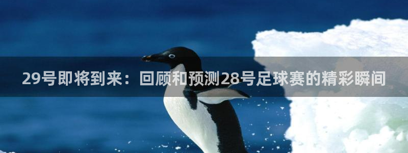 29号即将到来：回顾和预测28号足球赛的精彩瞬间