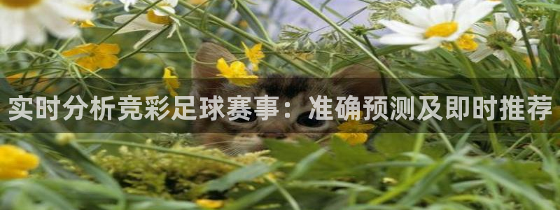  实时分析竞彩足球赛事：准确预测及即时推荐