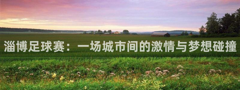  淄博足球赛：一场城市间的激情与梦想碰撞