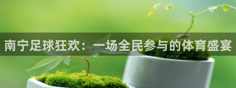 南宁足球狂欢：一场全民参与的体育盛宴