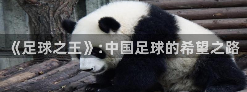  《足球之王》:中国足球的希望之路