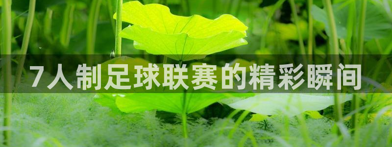 7人制足球联赛的精彩瞬间