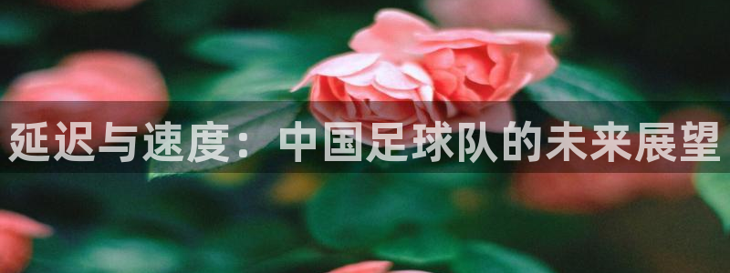 延迟与速度：中国足球队的未来展望
