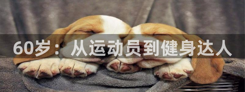3377体育官网
