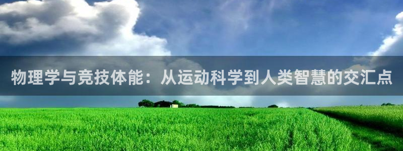 3377体育