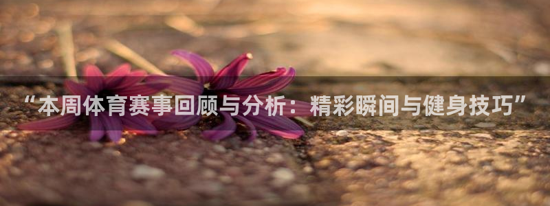 3377体育是正规的吗