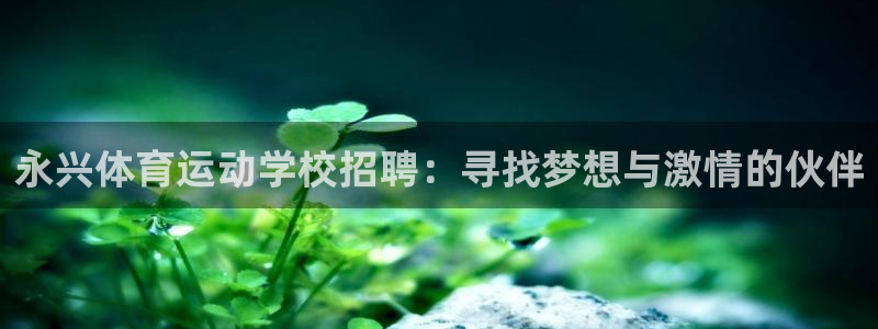 3377体育官方app下载