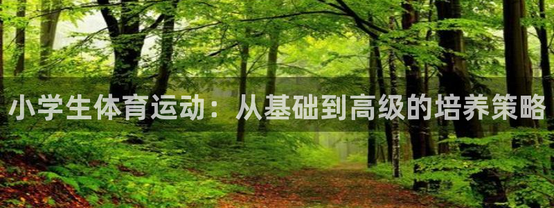 3377体育手机平台：小学生体育运动：从基础到高级的培养策略