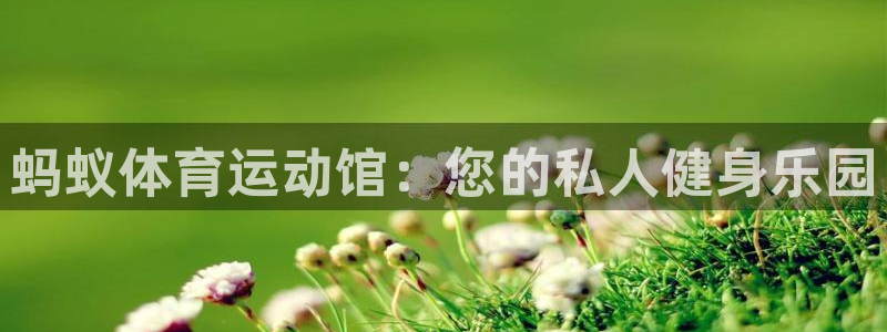 3377体育(中国)官方网站