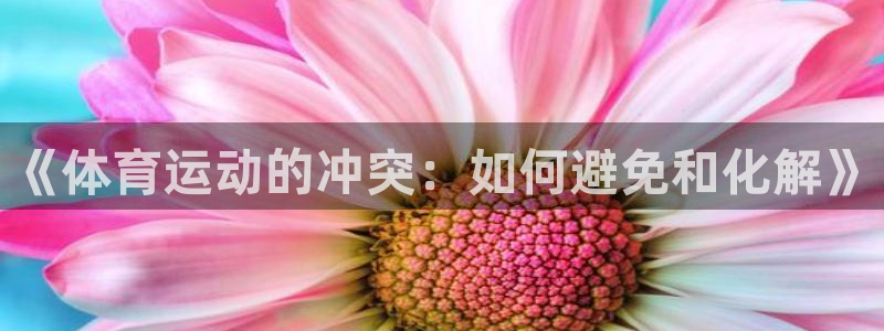 3377体育app官网下载地址