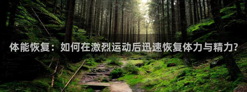 3377体育是正规平台吗