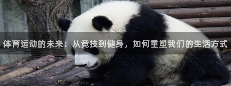 3377体育app下载安装