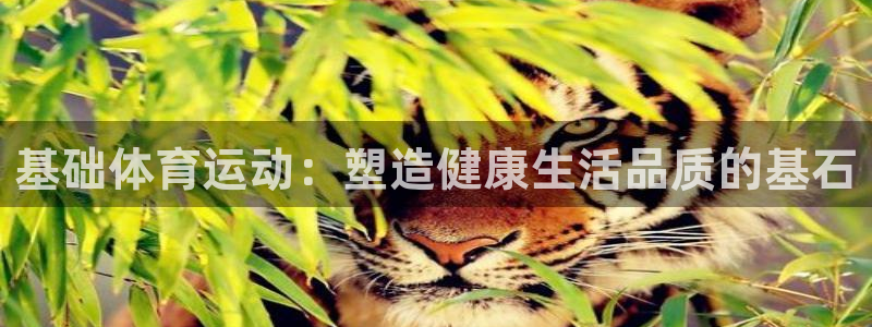3377体育在线：基础体育运动：塑造健康生活品质的基石