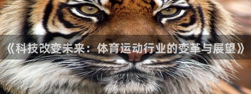 3377体育中国官方网站入口：《科技改变未来：体育运动行业的变革与展望》