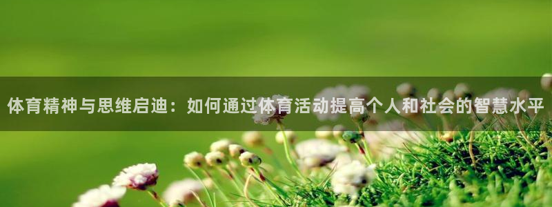 3377体育在线：体育精神与思维启迪：如何通过体育活动提高个人和社会的智慧水平