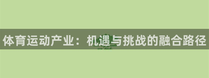 3377体育官方app下载：体育运动产业：机遇与挑战的融合路径