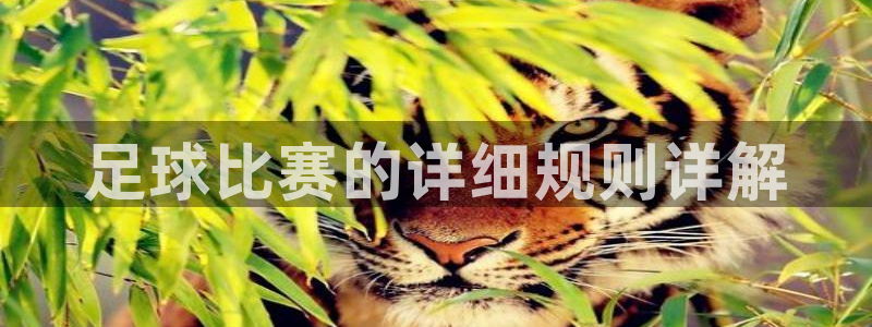足球比赛的详细规则详解
