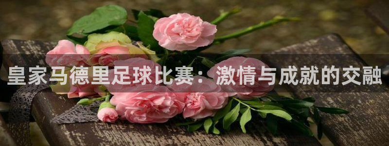  皇家马德里足球比赛：激情与成就的交融