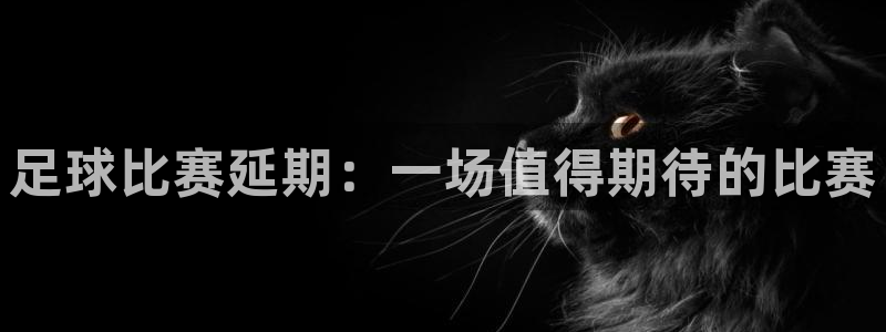  足球比赛延期：一场值得期待的比赛