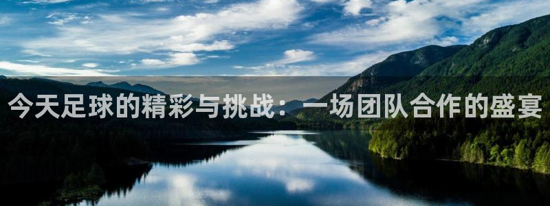 今天足球的精彩与挑战：一场团队合作的