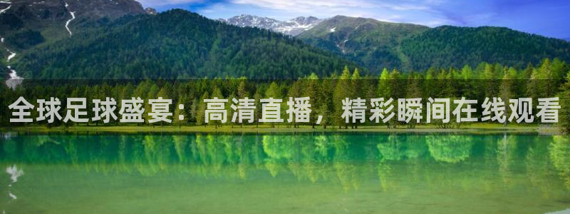  全球足球盛宴：高清直播，精彩瞬间在线观看