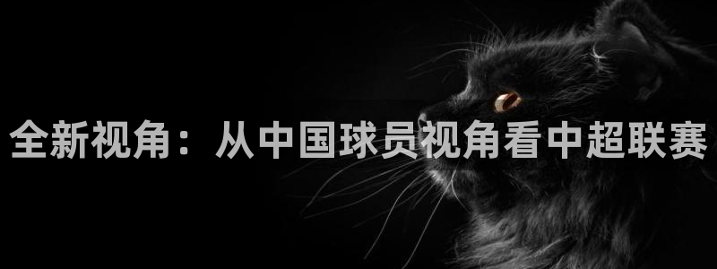全新视角：从中国球员视角看中超联赛