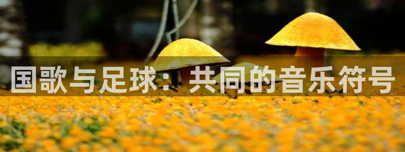 国歌与足球：共同的音乐符号
