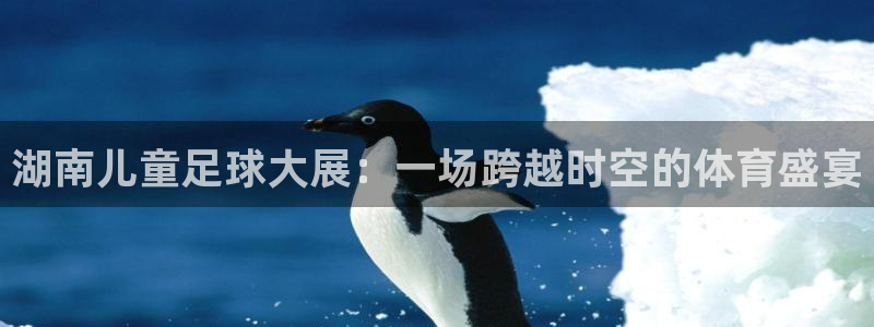 湖南儿童足球大展：一场跨越时空的体育