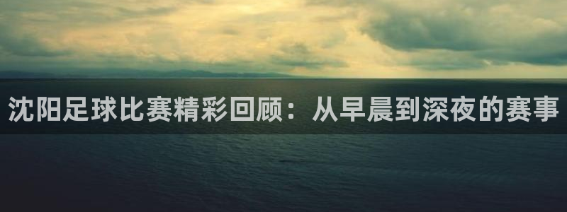 沈阳足球比赛精彩回顾：从早晨到深夜的