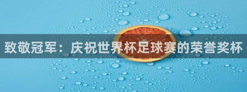 致敬冠军：庆祝世界杯足球赛的荣誉奖杯