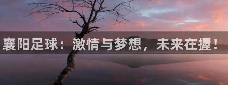 襄阳足球：激情与梦想，未来在握！