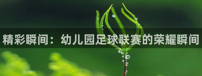 精彩瞬间：幼儿园足球联赛的荣耀瞬间